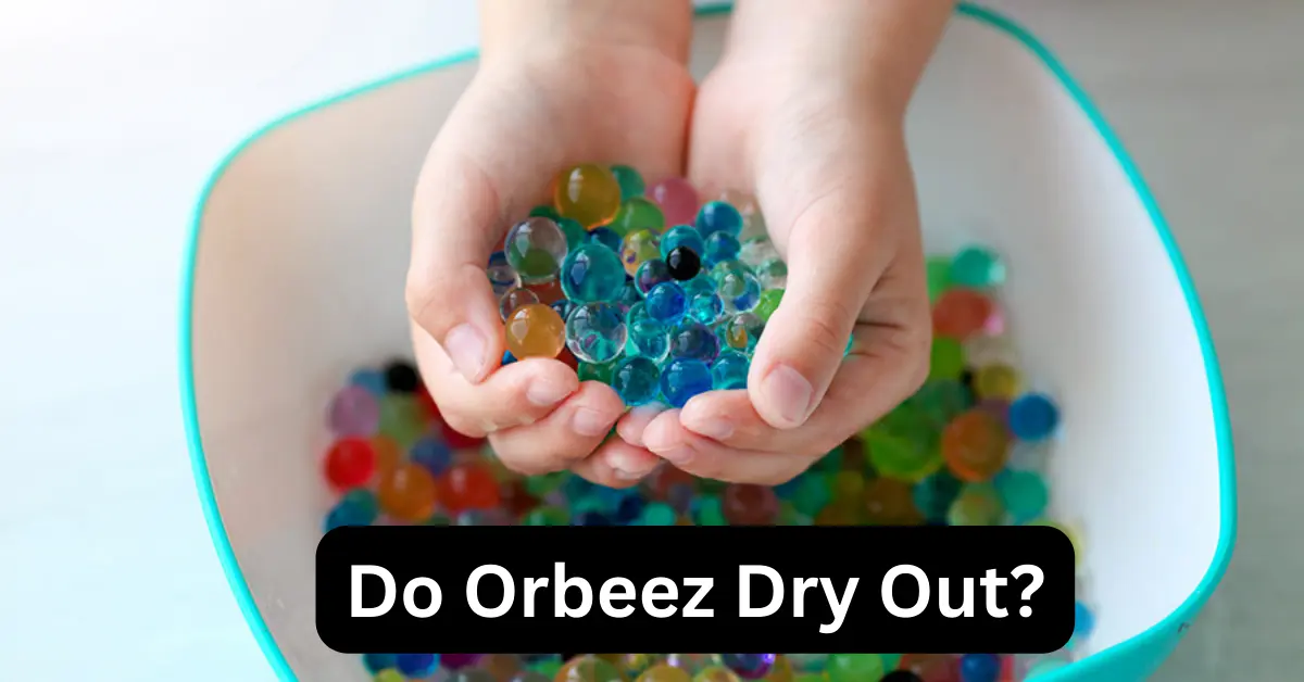 Do Orbeez Dry Out And How To Shrink Orbeez - Comprehensive Guide