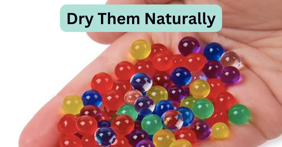 Do Orbeez Dry Out And How To Shrink Orbeez - Comprehensive Guide