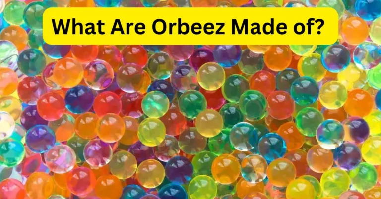 Do Orbeez Dry Out And How To Shrink Orbeez - Comprehensive Guide