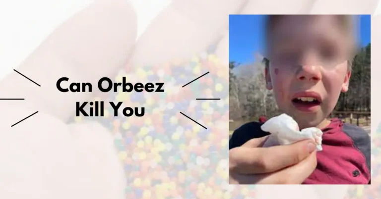 Do Orbeez Dry Out And How To Shrink Orbeez - Comprehensive Guide